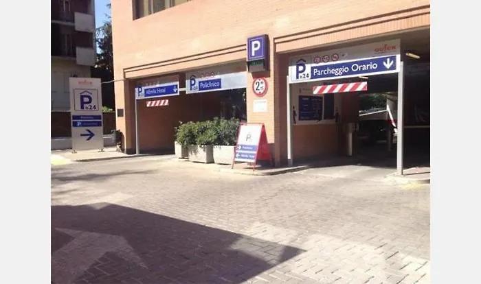 Urban Nest Red Carpet